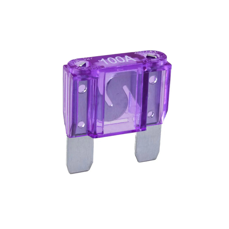 100A MAXI BLADE FUSE