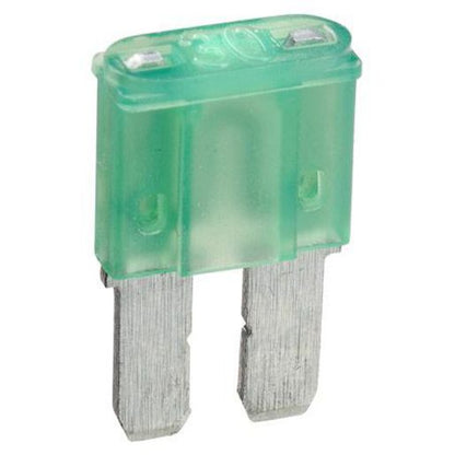 30A MICRO 2 BLADE FUSE