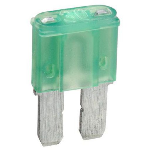 30A MICRO 2 BLADE FUSE