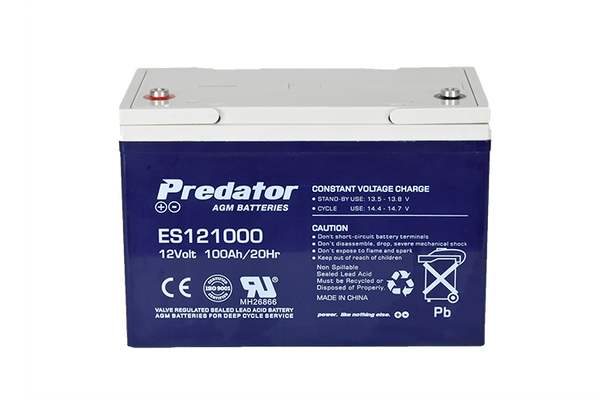 12V 100AH Multi-Purpose AGM Battery (ES121000)