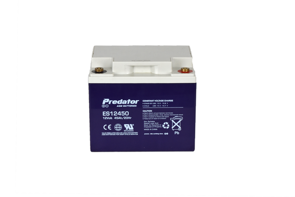 12V 45AH Multi-Purpose AGM Battery (ES12450)