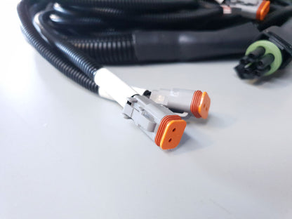 SWAYCONTROL ELECTRONIC STABILITY CONTROL