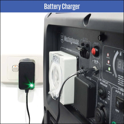 WESTINGHOUSE IGEN10000AS GENERATOR