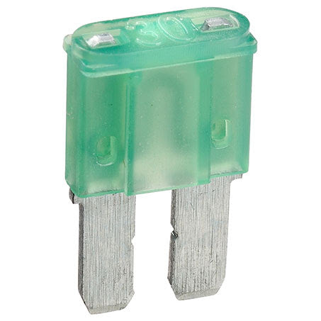 30A MICRO 2 BLADE FUSE